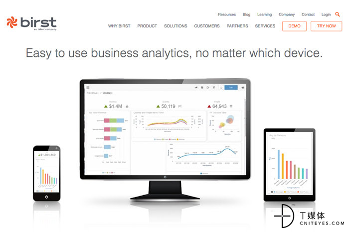 2 birst visual analytics