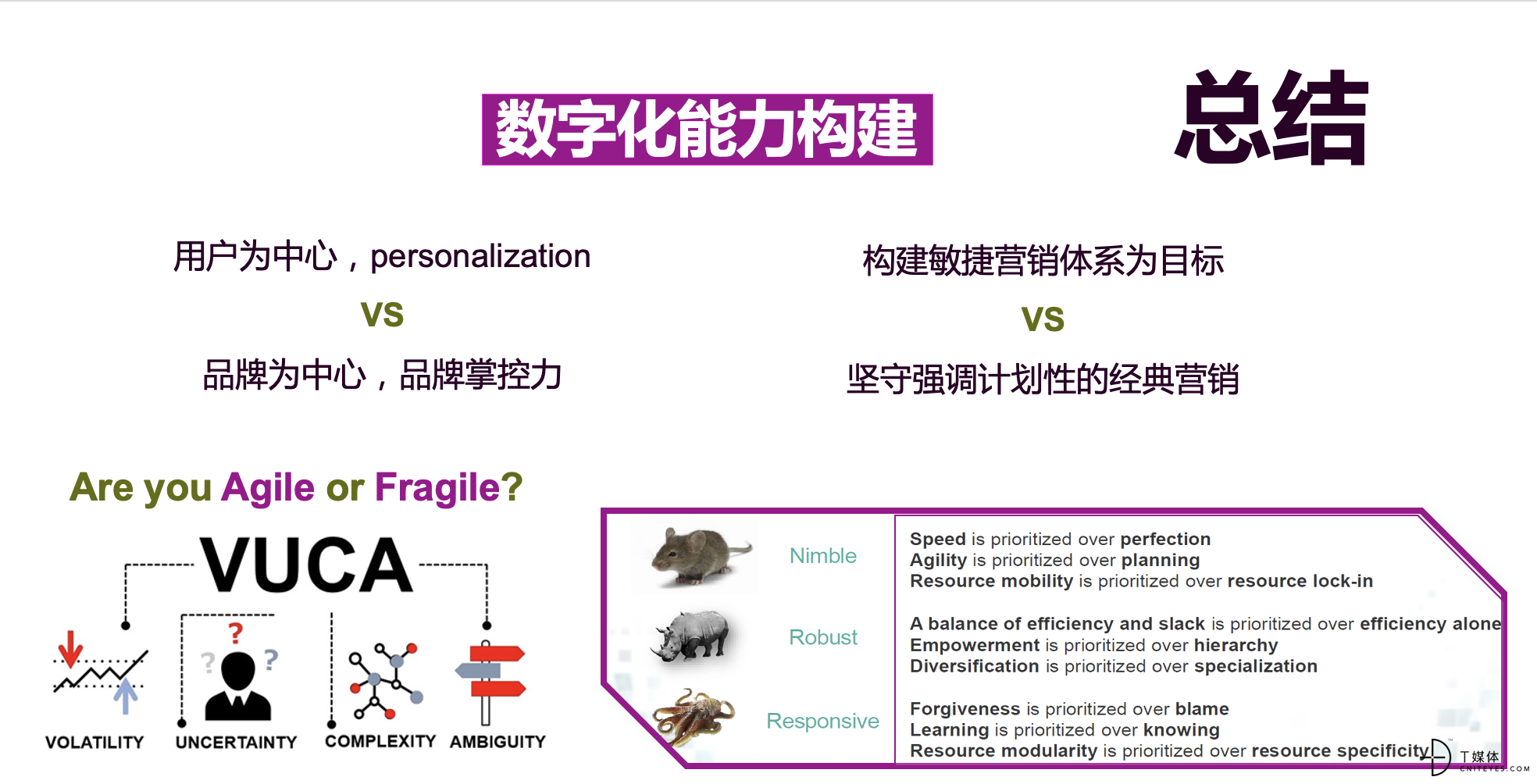 数字化能力构建.png
