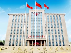 数字化人力资源管理转型，赋能氟锂硅产业创新领跑-多氟多