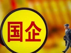 你怎么看待央国企数科公司？