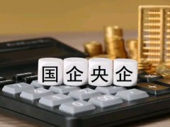用ERP思维选DRP， 央国企正在踩的最