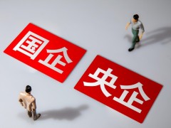 100家央企司库主要软件供应商概览