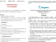 金蝶阶段性盈利，用友阶段性亏损：ER