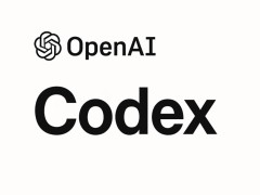 人人想造Codex，但Agent正在接管的不