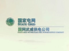 国网武威供电公司：银线润雪域 电兴