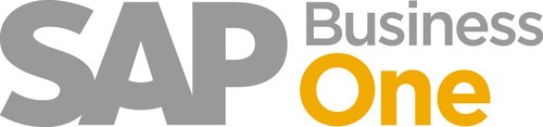 CIO们必读:我与SAP Business One的十年众生态