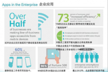 2013:企业商业应用腾飞之年
