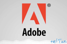 黯然离华 Adobe中国究竟做错了什么?