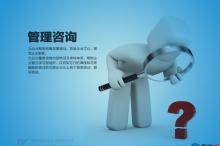 CIO了解:中国管理咨询公司最新排名