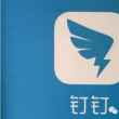 钉钉下一步要做什么？搞死企业号 让SaaS厂商颤抖